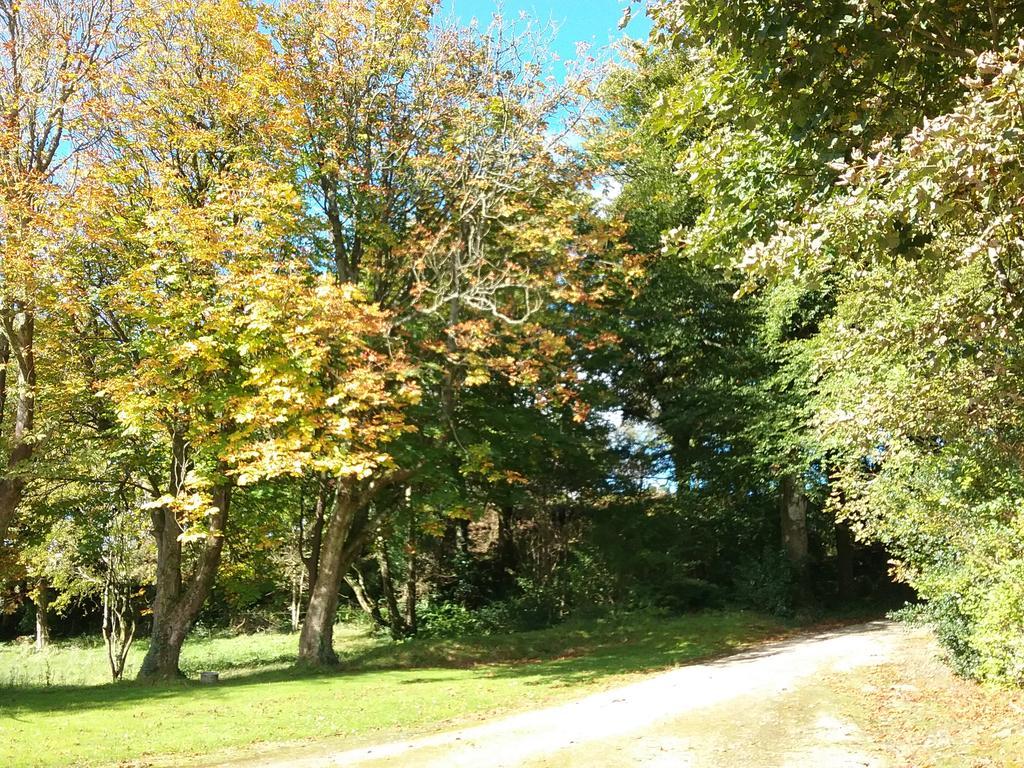 Willowfarmhouse Milford Εξωτερικό φωτογραφία